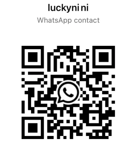 check out --Please add WA:+8619067117862 to got the tracking NO.